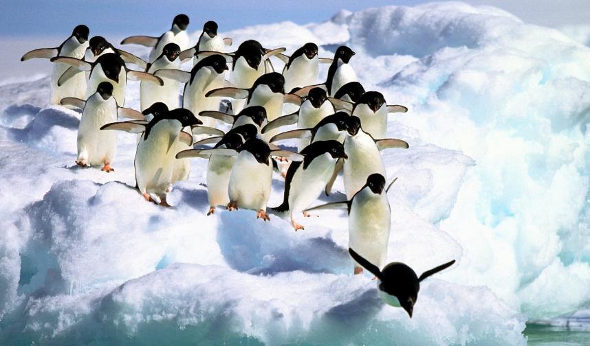 企鹅号怎么运营营销号,企鹅号如何吸粉增加流量