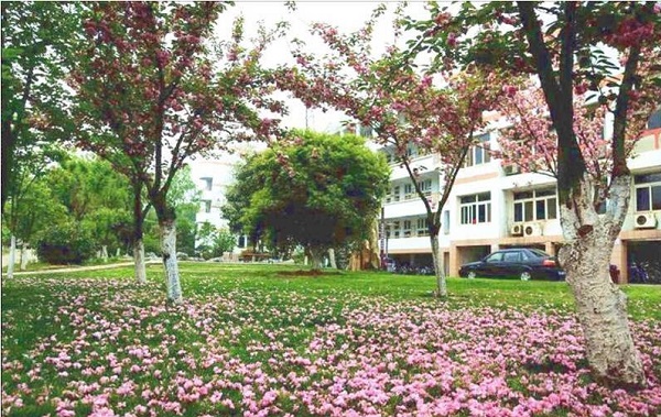 南京雨花台中学高中怎样,南京市雨花台中学简介