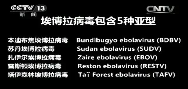 战狼2冷锋感染拉曼拉治愈救人,战狼二冷锋得拉曼拉怎么康复