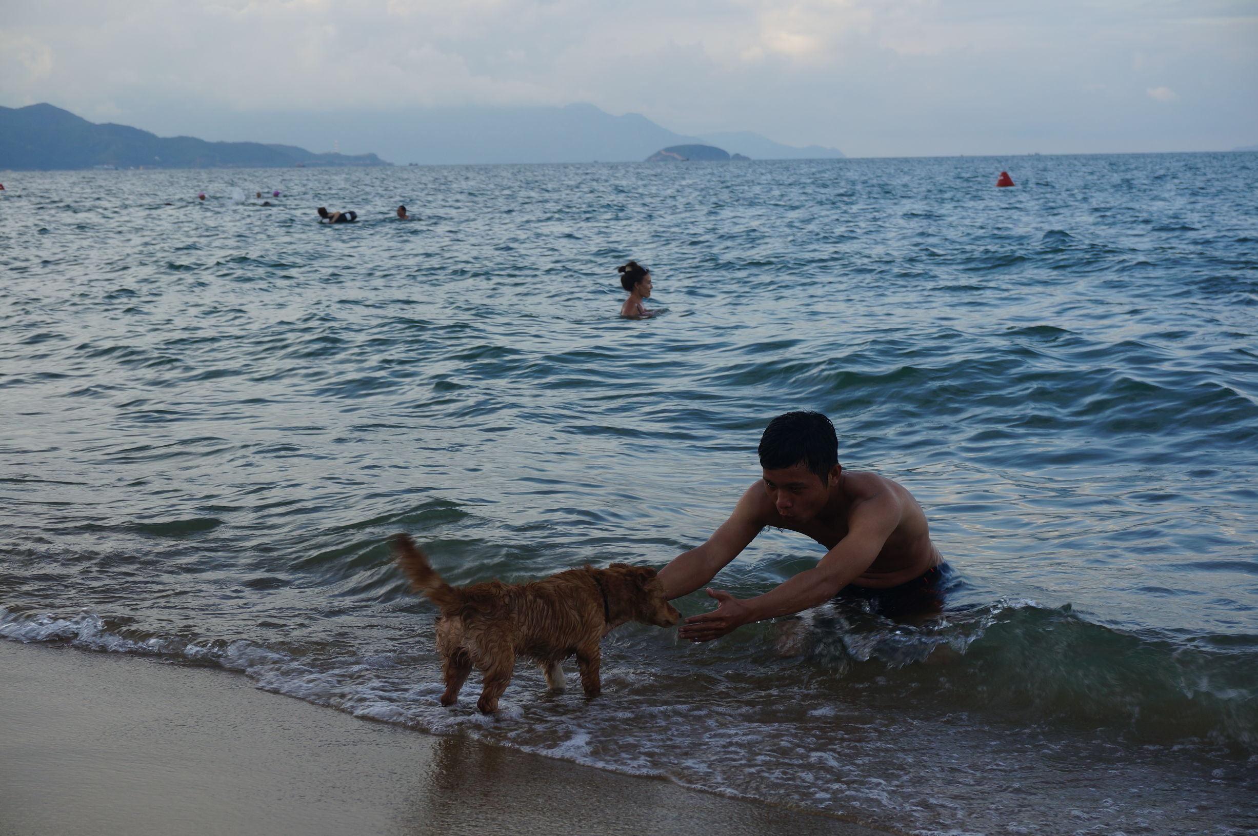 我的越南旅行记,我的芽庄之行全集