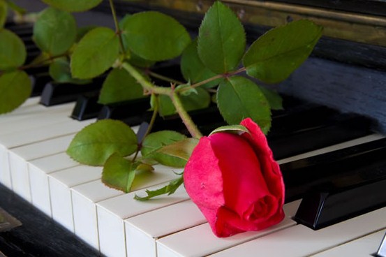 有个性的早安说说句句简短走心,早安语录励志点赞高的说说带图片