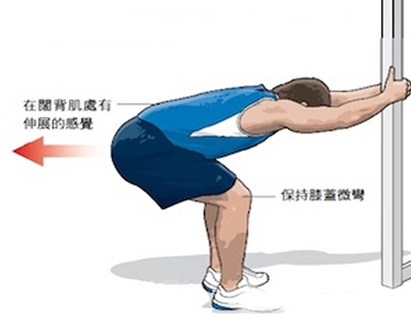 背部训练一周几次,女士背部肌训练计划