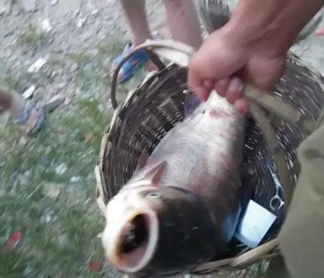 半价活动快来抢购,半价狂欢活动来袭