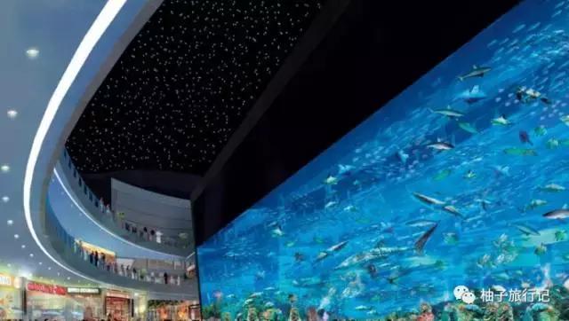 海外印象迪拜旅游攻略详细,迪拜旅游攻略自由行详细介绍