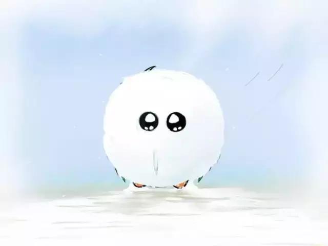 “我的钱那么少，理了也白理”，NO,NO,NO~