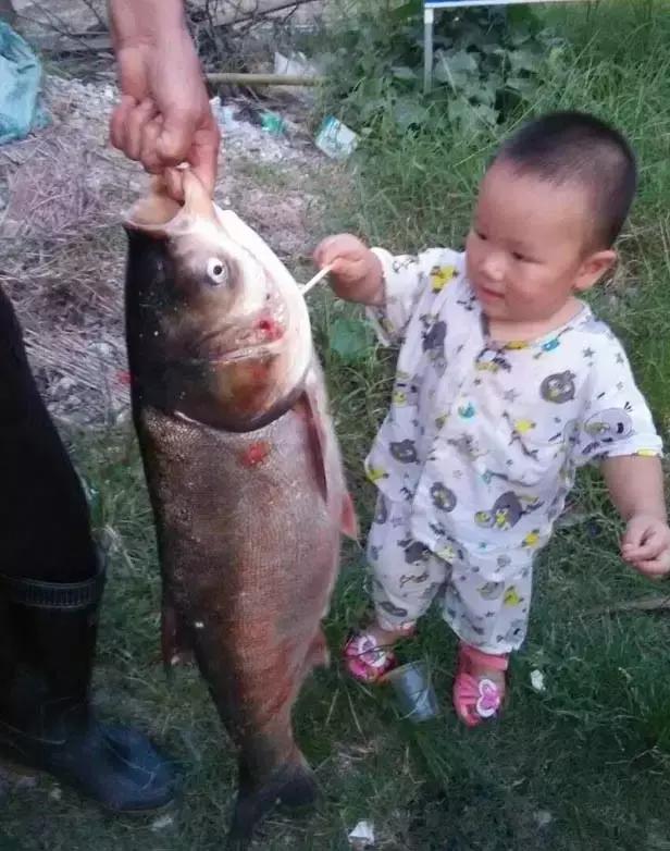 半价活动快来抢购,半价狂欢活动来袭