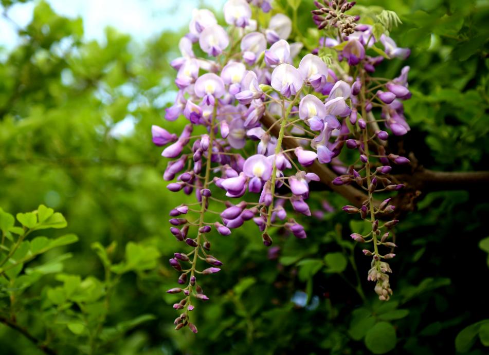 有一种岁月带给你的忧伤，因为你懂，所以，你泪流满面