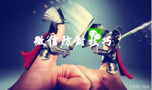 徐戈的结局,徐戈的一篇文章