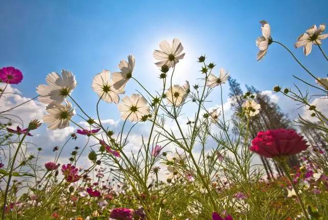 银川有没有啥好玩的活动,银川五月有什么活动