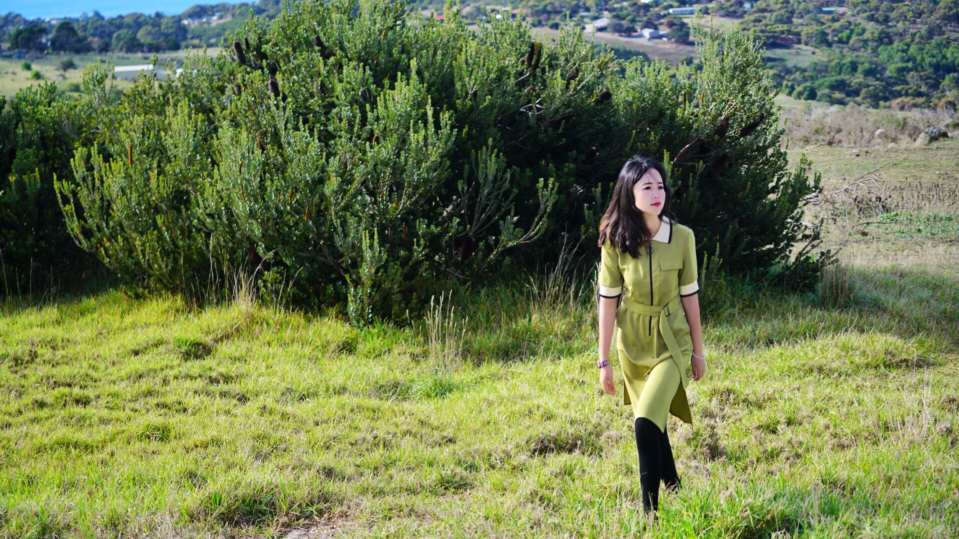 澳洲生蚝哪里最好,全球顶级生蚝多少钱一个