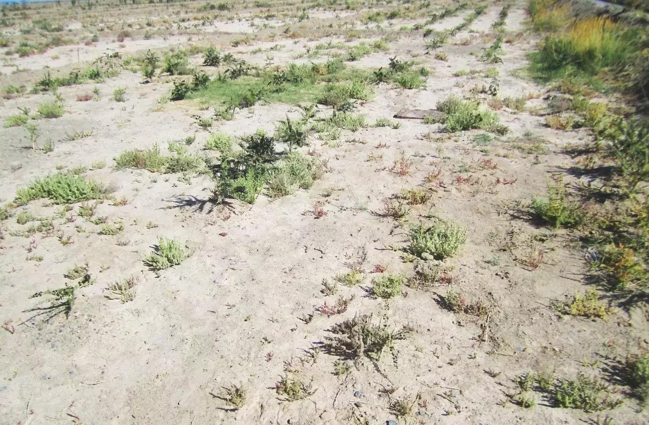 90后女生回到家乡创业,90后姑娘只身创业打拼