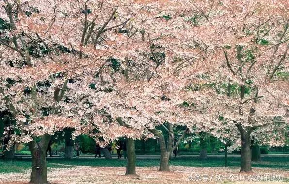 1-3月份山东适合去哪旅游,山东1月2日旅游攻略大全