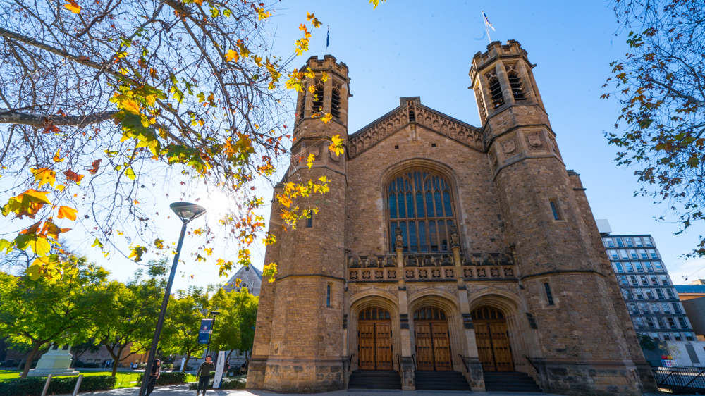 澳洲生蚝哪里最好,全球顶级生蚝多少钱一个