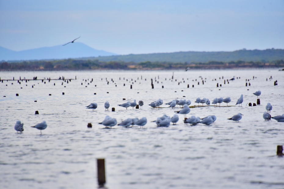 南大洋的深海,南大洋海域