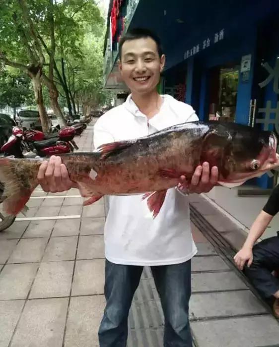 半价活动快来抢购,半价狂欢活动来袭