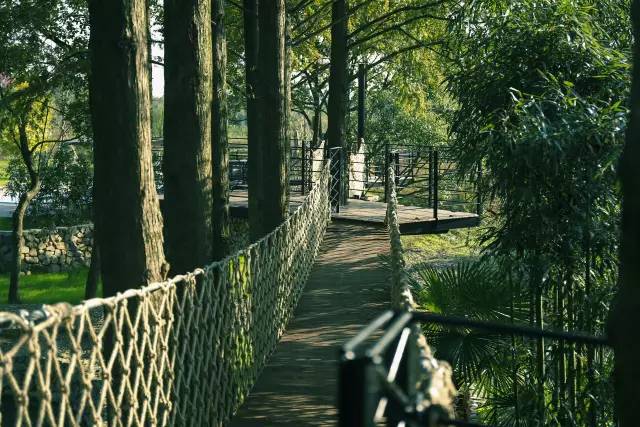 宜兴周边避暑一日游,宜兴开车避暑攻略