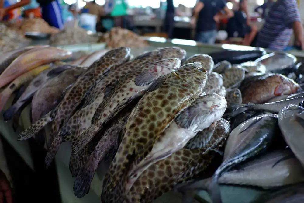 海鱼用福尔马林保鲜,市场上的海鱼会泡甲醛吗