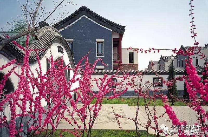 走遍中央别墅区-观唐别墅（第一期）