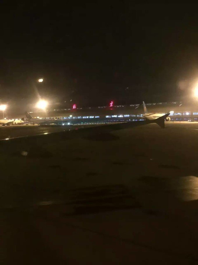 看鲨鱼，玩泥巴，看男人穿婚纱，带你看不一样的帕劳