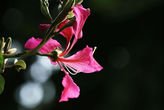 有个性的早安说说句句简短走心,早安语录励志点赞高的说说带图片