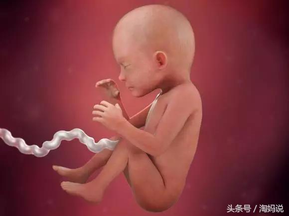 胎儿发育40周全过程注意事项,赞宝宝训练抬头的句子