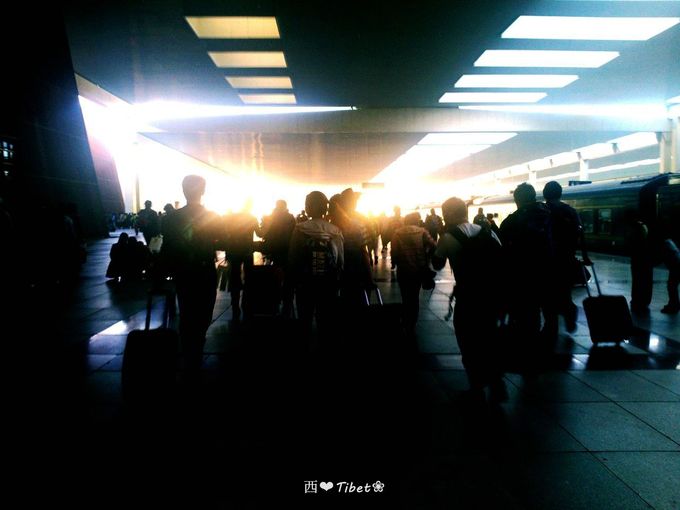 奥古斯都,August的格桑花秘境：我养你！带你去*藏西**啊！