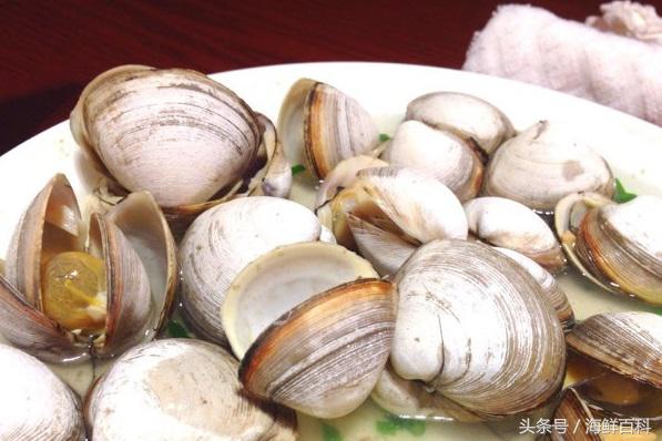 炒蚬子可以和什么一起吃,蚬子汤用新鲜蚬子还是干蚬子