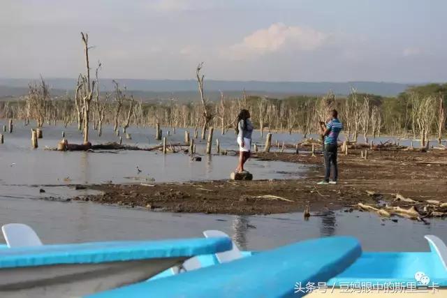风动？树动？心动！致你，Kenya