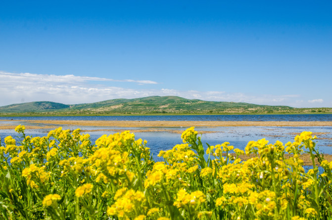 天堂草原锡林郭勒歌词及对白,真正的内蒙古锡林郭勒大草原