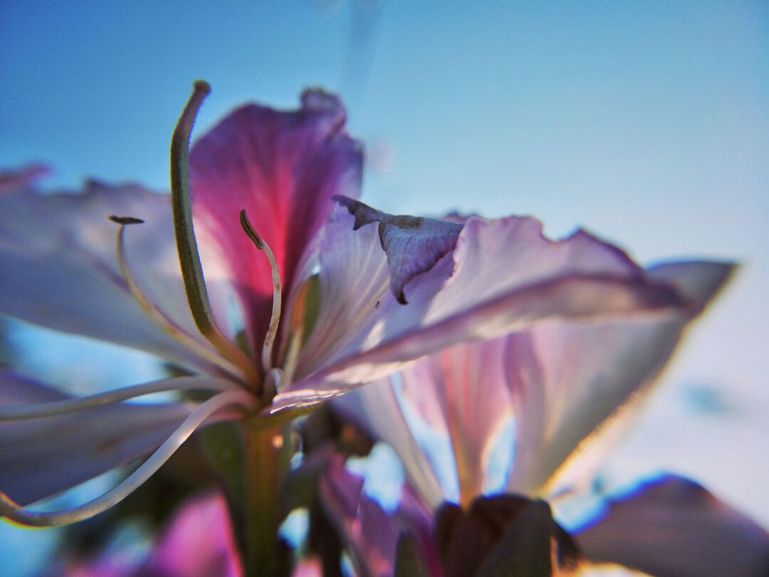 为什么男朋友不喜欢拍照,不会拍照的男朋友图片