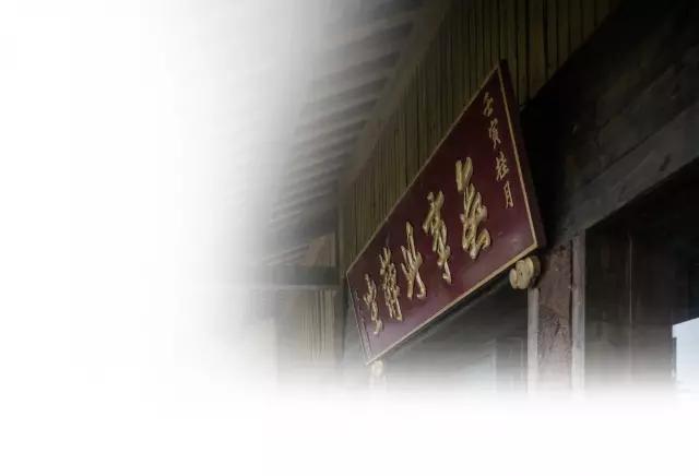 腾冲“茶妈妈”：茶的淡泊，也是人的淡泊