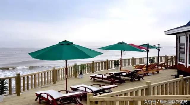 承包一整片海的浪漫,承包一片海域能干什么