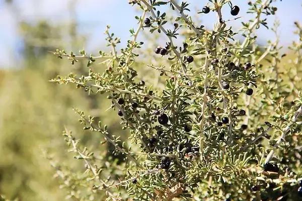 90后女生回到家乡创业,90后姑娘只身创业打拼