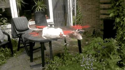 战狼2里面的无人机片段,战狼二无人机哪个好