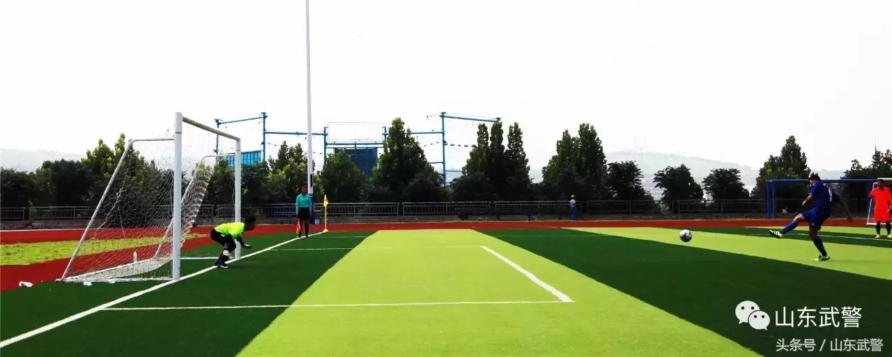 卫士动力升级后效果,卫士动力数据