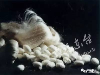 东台的古镇有哪些,东台最好的古镇