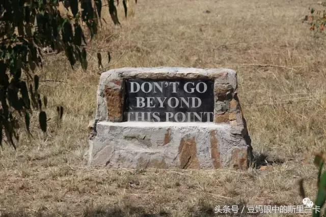 风动？树动？心动！致你，Kenya