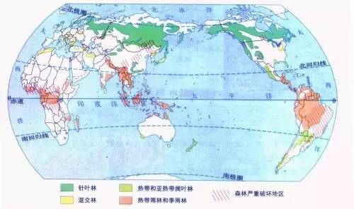 实木地板选购的3个技巧,市面上实木地板如何挑选