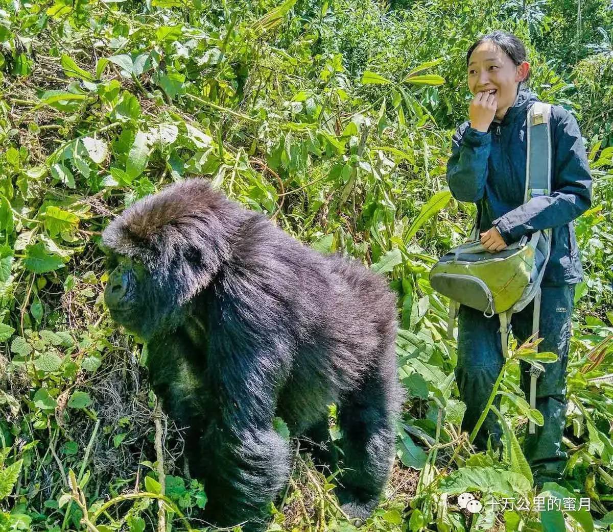 环游世界要花多少钱,环游世界应该去多少个国家