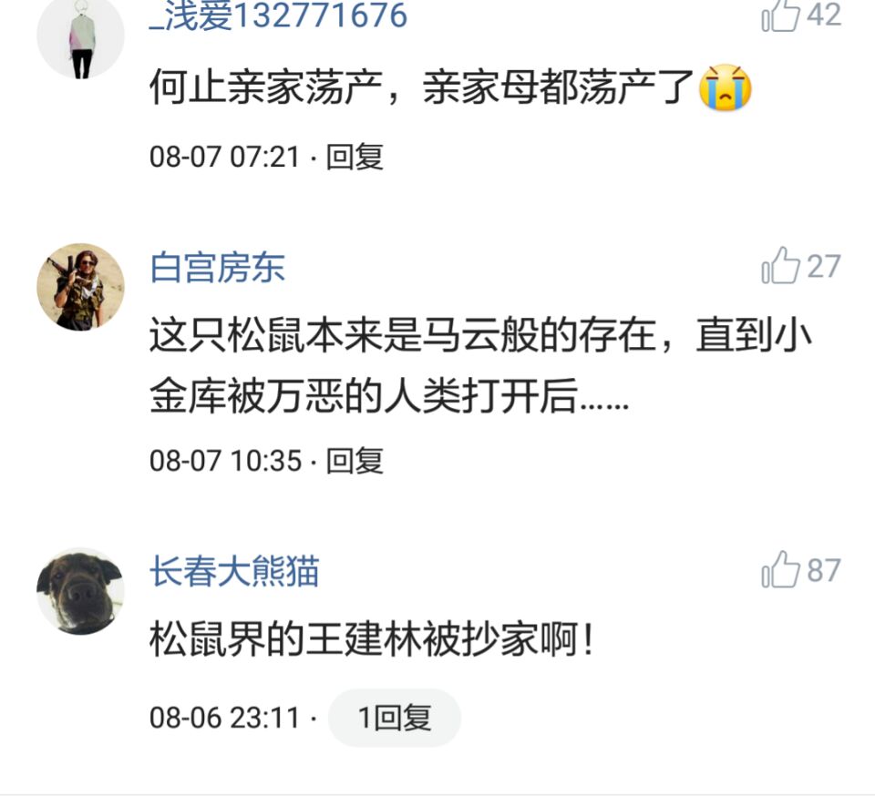 那些搞笑的评论之一松鼠说，那是我娶十房姨太的钱