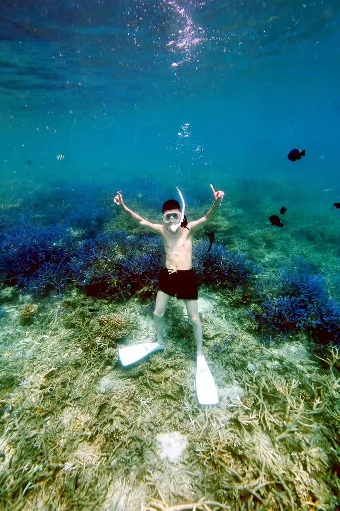 一起去帕劳旅游,去帕劳旅游自由行攻略