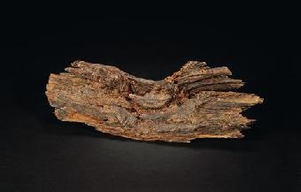 什么植物适合做手串,可以做手串的植物种子