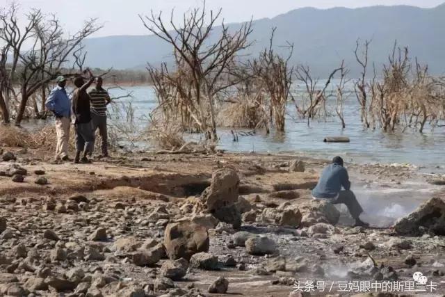 风动？树动？心动！致你，Kenya