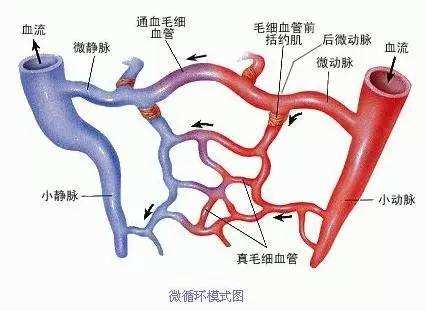 YUXI语西|生物磁膜布全方位解析