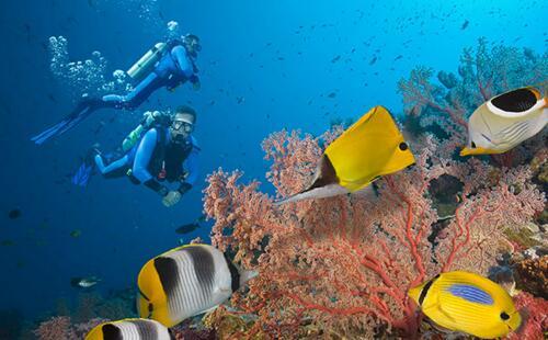 大堡礁还值得去吗,大堡礁三日游行程