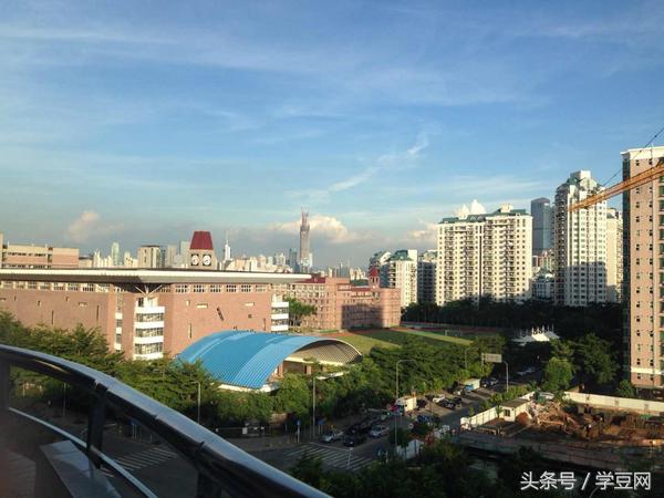 学豆观察︱在深圳高级中学读书是怎样的体验？