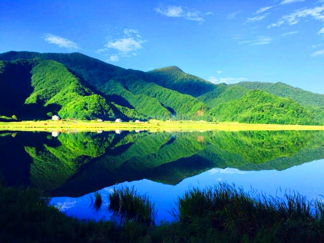 近期神农架自驾游攻略,2020年6月神农架大九湖自驾游攻略