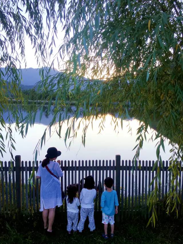 北纬30°神秘之境,在高山草甸、追逐鹿群,这里美的像天堂!