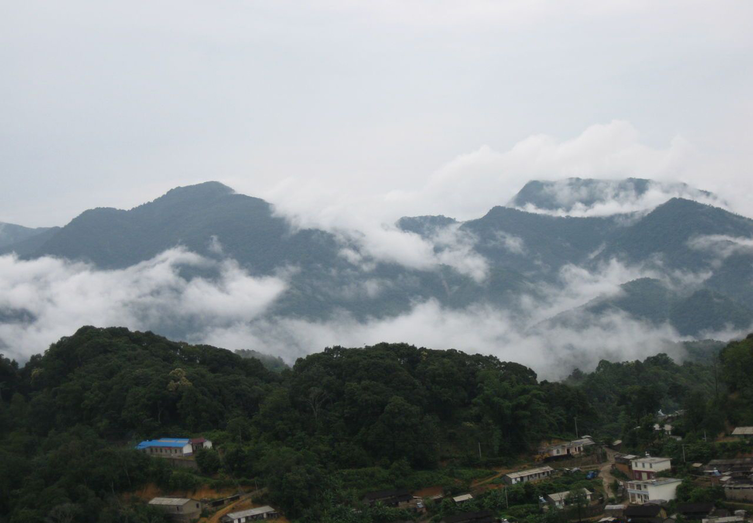 天然染料物理化学,天然普洱茶染发剂