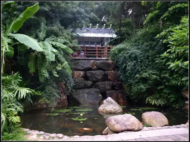 花如此多娇,花都如此多娇全文免费阅读